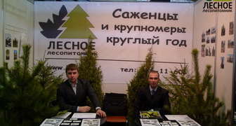 Саженцы хвойных культур от специализированного питомника 