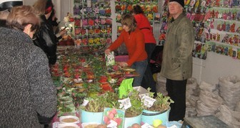 Семена и клубни картофеля на выставке в Симферополе 