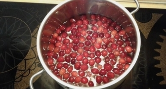 Насыпаем ягоды в кастрюлю и заливаем водой