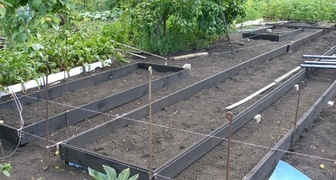 Подготовка почвы под клубнику