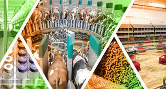 Выставка Smart Farm - Умная ферма в Санкт-Петербурге