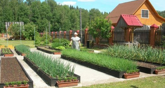 Классические прямоугольные гряды огорода в регулярном стиле