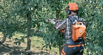 Советы по уходу за деревьями от Husqvarna