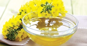 Касторовое масло &ndash; природный стимулятор пышного и красивого цветения комнатных растений
