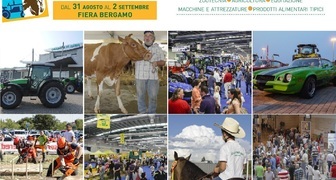 Сельскохозяйственная выставка Fiera di Sant'Allessandro в Италии