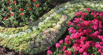 Выбираем неприхотливые долгоцветущие многолетники для украшения сада