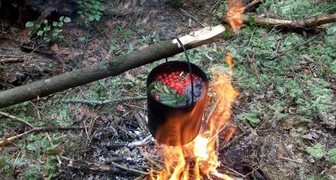 Очистить воду на даче можно за пару часов с помощью рябиновых листьев