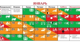 Лунный календарь на январь 2020 для огородников