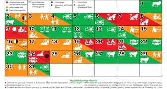 Дачный посевной календарь на март 2020 для огородников и садоводов