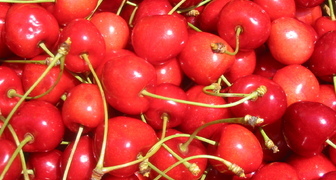 Брянская розовая - один из лучших поздних сортов черешни для Подмосковья