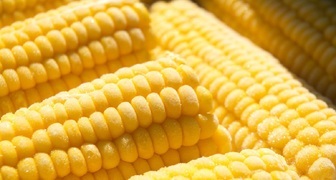 Замороженная кукуруза может долгое время хранится в морозильной камере