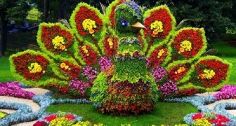Цветочные композиции на фестивале Императорские сады 