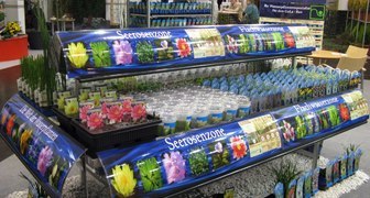 Демонстрация посадочного материала для дачных водоемов на выставке Myplant &amp; Garden