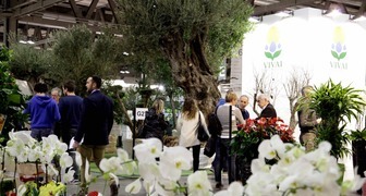 Деревья, цветы и кустарники на тематической выставке в Милане 