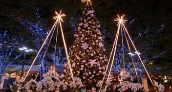 Ели украшенные посетителями фестиваля Сад чудес