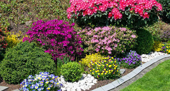 Фото - цветущий сад из прекрасных кустарников