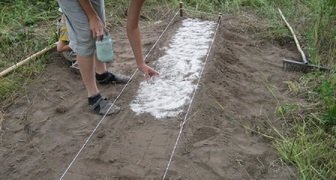 Как бороться с вьюном на огороде - известкованием почвы