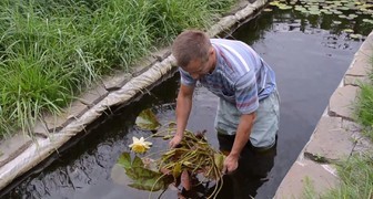 Как посадить растения в искусственный водоем