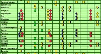 kalendar-poseva-semyan-na-rassadu