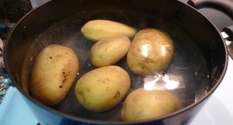 Приготовление картофельного отвара для подкормки томатов