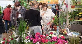 Комнатные цветы и декоративные растения на выставке Весенняя Флора 