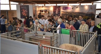 Спецкорма и средства для ухода за животными на выставке Agriculture - Stock Breeding
