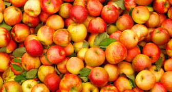 Лучшие сорта яблок для применения в кулинарии