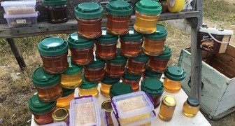 Мед разных сортов на выставке Осенний сад и огород. Продукты пчеловодства