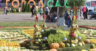 Выставка садоводства: Воронеж Город-Сад 2015