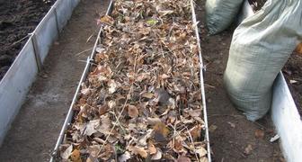 Листья помогут восстановить и подкормить землю в теплице