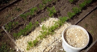 Свежие опилки применяют для повышения кислотности почвы