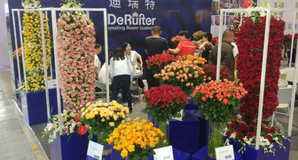 Новинки селекции на Kunming International Flower Expo