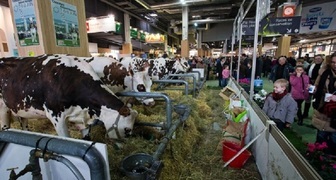 Оборудование для разведения скота на выставке Agriculture - Stock Breeding