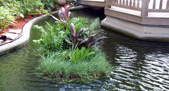 Плавающая клумба украсит водоем в вашем саду