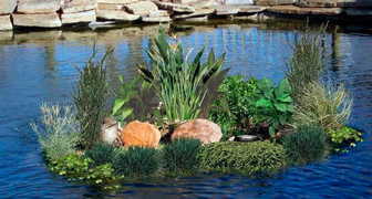 Акваклумба для сада с нецветущими растениями