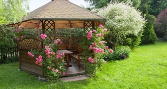 Плетистые розы в ландшафтом дизайне сада