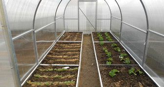 Плохой урожай овощей в теплице - скорее всего устала почва