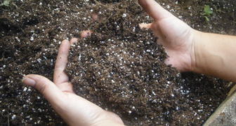Подготовка и удобрение почвы в малиннике весной