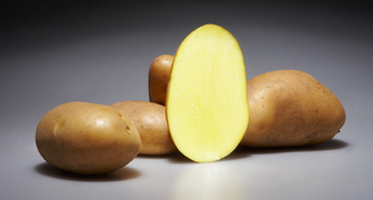 Польза сырого картофеля для организма