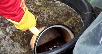 Příprava zelené tinktury na brambory