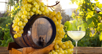 Применение винограда в виноделии