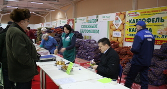 Продажа семенного картофеля на ярмарке в Чебоксарах 