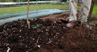 Рыхление почвы и уборка мусора - профилактика от вредителей осенью