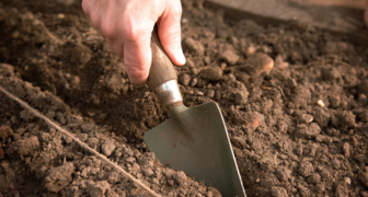 Рыхление почвы в малиннике позволяет обеспечить корни кустов необходимым кислородом