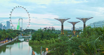 Сады Gardens by the Bay в Сингапуре
