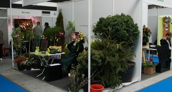 Саженцы хвойников на выставке СадЕхро 