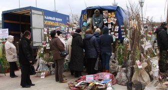 Саженцы плодово-ягодных культур на выставке 