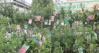 Районированные саженцы на выставке Осенний сад и огород в Тюмени