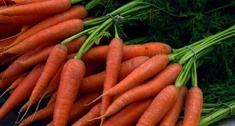 Секреты щедрого урожая моркови