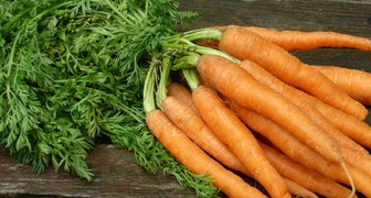 Секреты выращивания отличного урожая моркови